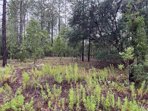 Lot 12 Se 136th Ave, Dunnellon, FL, 34431 | Card Image