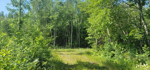 xxx N Larsen Rd, HAYWARD, WI, 54843 | Card Image
