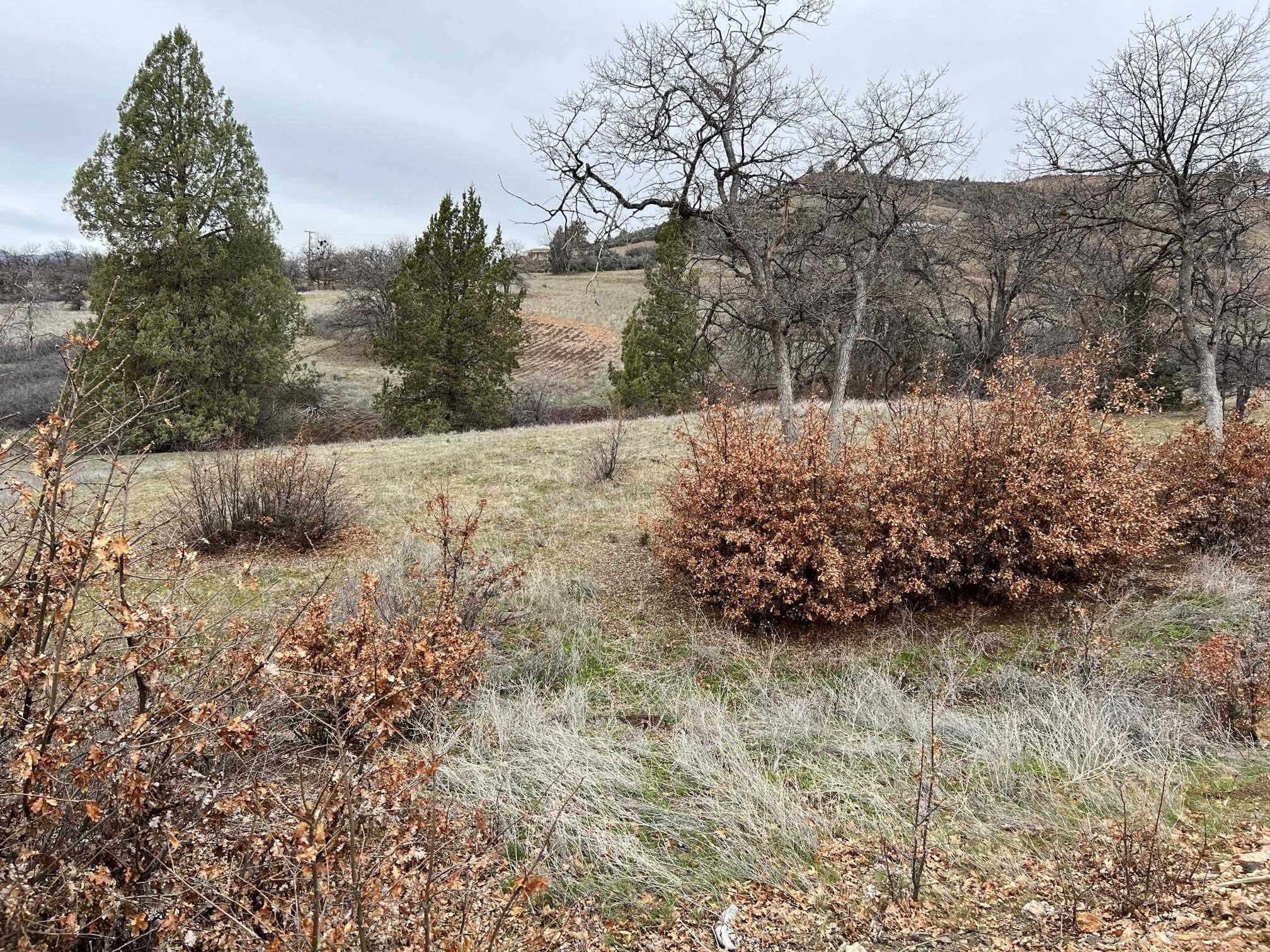 Land in Hornbrook