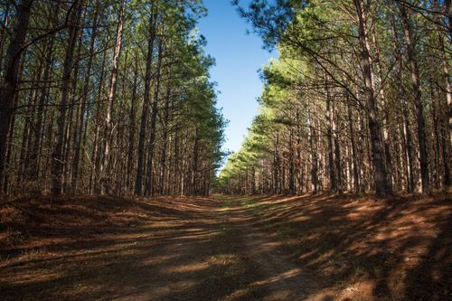 0 Mayfield Divide Rd, Centerville, TN, 37033 | Card Image