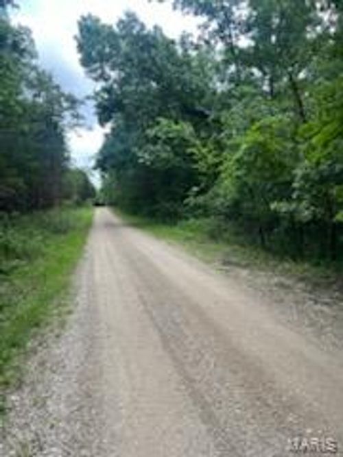 0 Rue Felice, Bonne Terre, MO, 63628 | Card Image