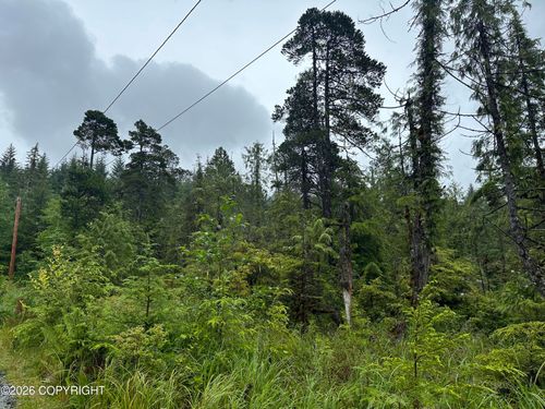 12.5 Mile Zimovia Highway, Wrangell, AK, 99929 | Card Image