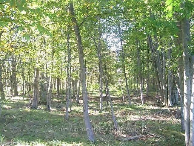 0 Buttermilk Falls Rd, Home with 0 bedrooms, 0 bathrooms and 12 parking in Roblin ON | Image 10