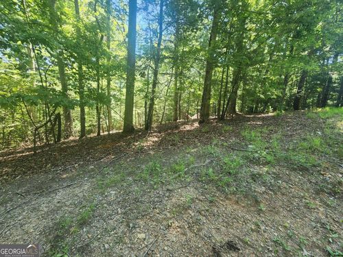 3-LOT 3 Meadowview Dr, MORGANTON, GA, 30560 | Card Image