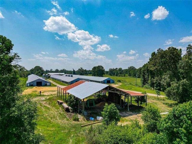 204 George Rd Sw, Home with 0 bedrooms, 0 bathrooms and null parking in Cave Spring GA | Image 12
