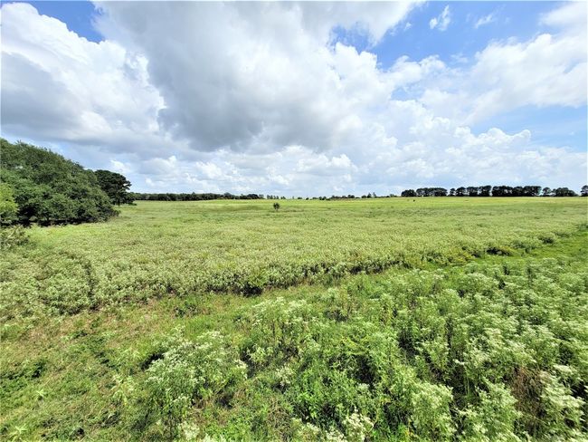 View of local wilderness with rural landscape | Image 9