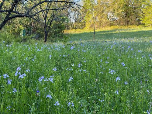 N/A Cr 103, Nocona, TX, 76255 | Card Image