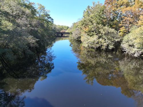 Tbd Martin Luther King Junior Avenue, Kingstree, SC, 29556 | Card Image