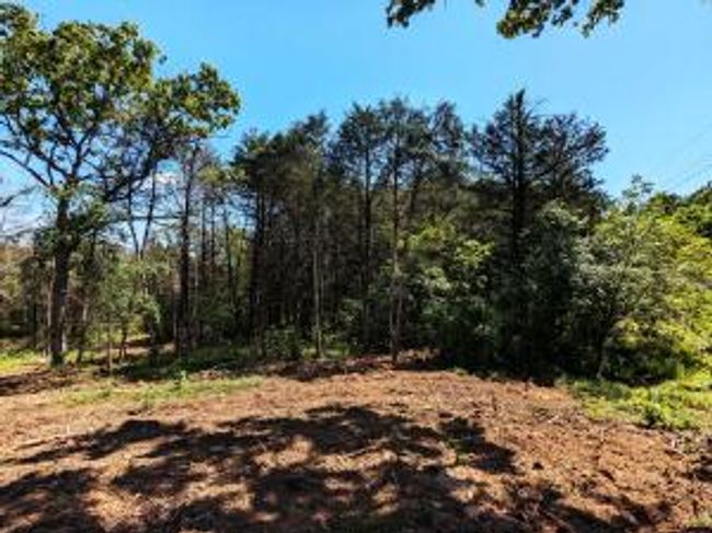 27B & 28B Shelby Lane, Home with 0 bedrooms, 0 bathrooms and null parking in Cecil AR | Image 7