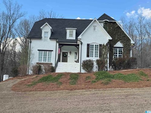 335 Gray Fox Rd, SPRINGVILLE, AL, 35146-7601 | Card Image