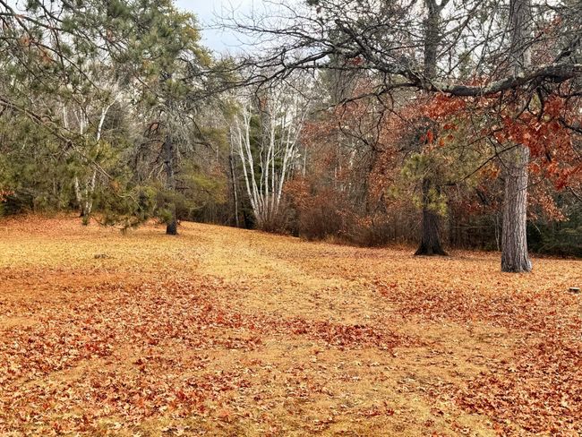 Take a venture onto the trail in your back yard | Image 16