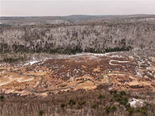 00 Halsey Valley Rd, Spencer, NY, 14883 | Card Image