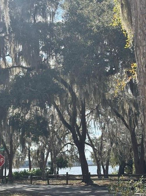 71-25146 Ne 140th Loop, Salt Springs, FL, 32134 | Card Image