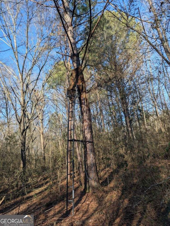 0 Ridgeway Rd, Home with 0 bedrooms, 0 bathrooms and null parking in Trion GA | Image 37