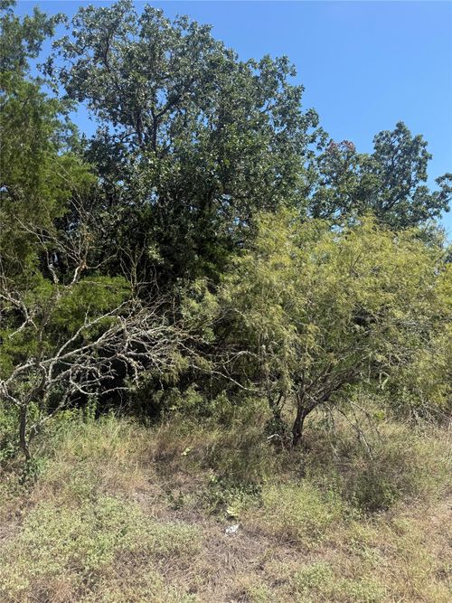 TBD Blanket Flower Dr Lot 18 Drive, Bastrop, TX, 78602 | Card Image