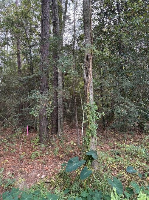 Lot 7 Firetower Rd, Mandeville, LA, 70471 | Card Image