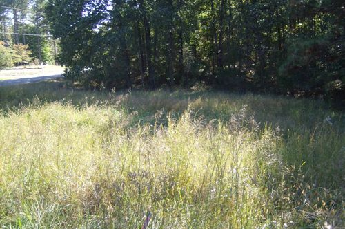 00 Plantation Dr E, Heber Springs, AR, 72543 | Card Image