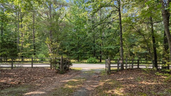 View of yard with a wooded view | Image 48