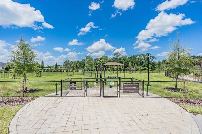 Dog Parks | Image 71