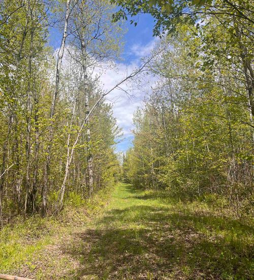 80 acres Clausen Road, Prentice, WI, 54556 | Card Image