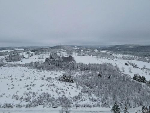 625 Beechwoods Rd, Callicoon, NY, 12723-6613 | Card Image