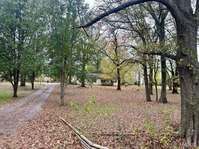 View of yard | Image 13