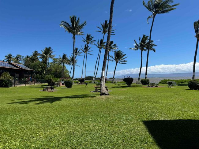 A106 - 1000 Kamehameha V Hwy, Condo with 1 bedrooms, 1 bathrooms and null parking in Kaunakakai HI | Image 21
