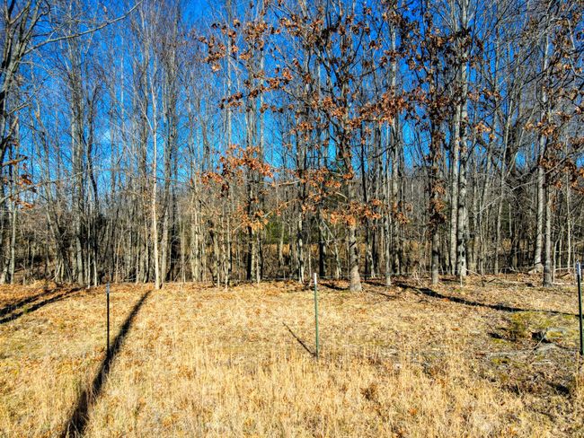 0 Old Jones Easement, Home with 0 bedrooms, 0 bathrooms and null parking in Adolphus KY | Image 16