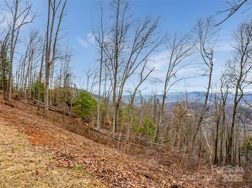 35-99999 Serenity Ridge Trl, Asheville, NC, 28804 | Card Image