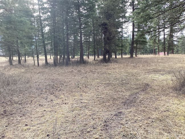 1 Eagle Pass Road, Home with 0 bedrooms, 0 bathrooms and null parking in Charlo MT | Image 35