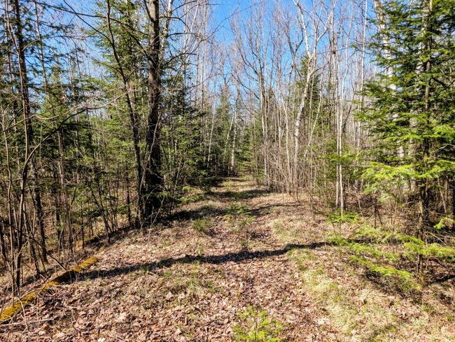 N12912 State Highway 13, House other with 2 bedrooms, 1 bathrooms and null parking in Fifield WI | Image 41