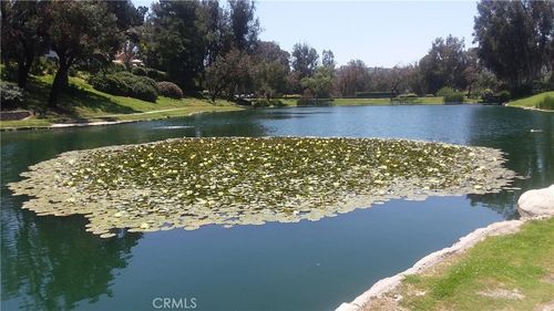 668 N Lemon Hill Trail, Orange Park Acres, CA, 92869 | Card Image