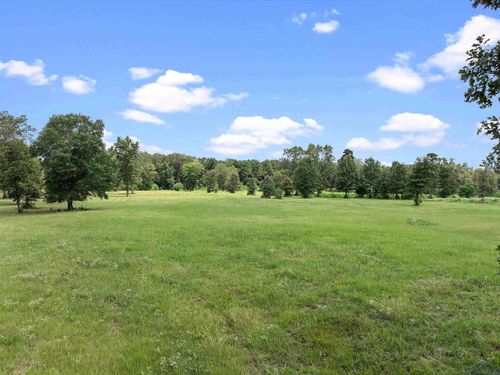 TBD County Road 163, Long Branch, TX, 75669 | Card Image