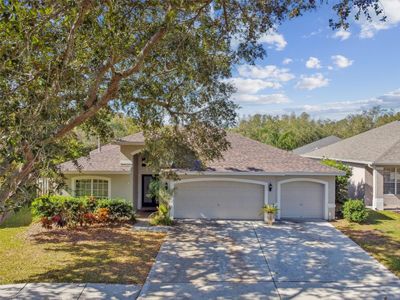 19606 Morden Blush Drive, House other with 4 bedrooms, 2 bathrooms and null parking in Lutz FL | Image 1