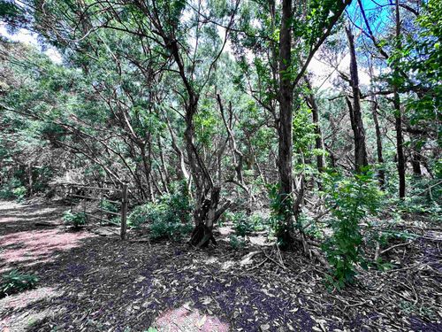 lot-b-0 Kahanui Acres Pl, Hoolehua, HI, 96729 | Card Image