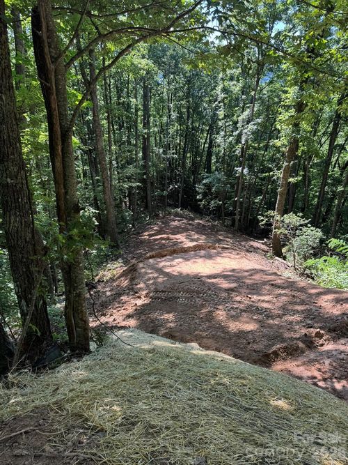 97 Hosta Dr, Sylva, NC, 28779-6240 | Card Image