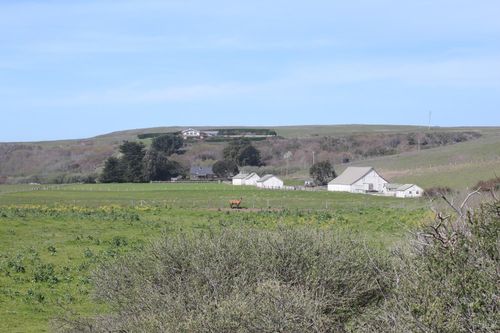 16400 S Highway 1, Manchester, CA, 95459-8988 | Card Image