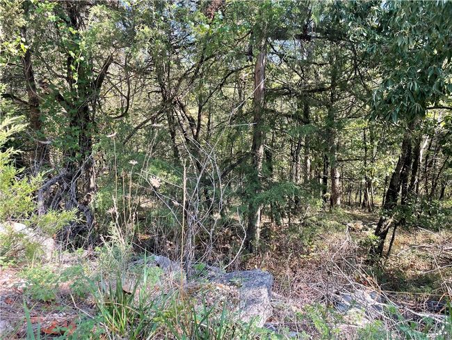 143 Table Rock Dr, Home with 0 bedrooms, 0 bathrooms and null parking in Holiday Island AR | Image 4