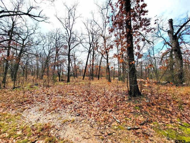 327 La Prada, Home with 0 bedrooms, 0 bathrooms and null parking in Malakoff TX | Image 9