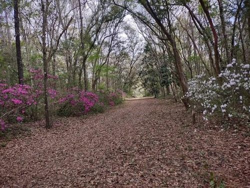 9606 Beverly Rd, Irvington, AL, 36544-3102 | Card Image
