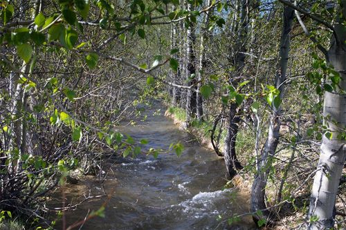 Lot 4 Bannock Circle, Red Lodge, MT, 59068 | Card Image