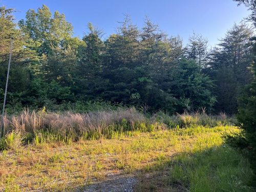 0 Union Temple Rd, Dawson Springs, KY, 42408 | Card Image