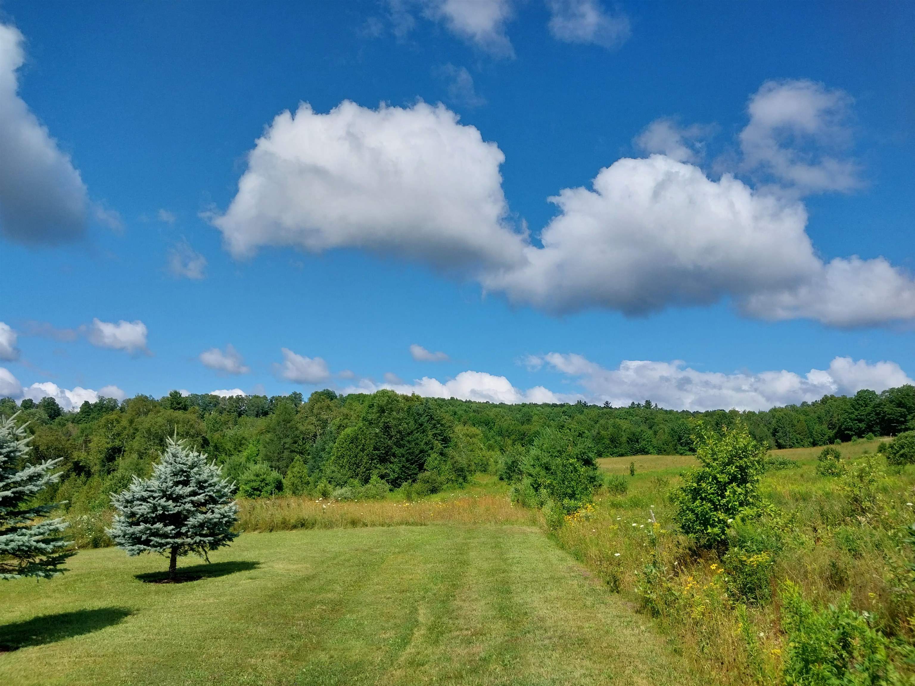Land in Danville