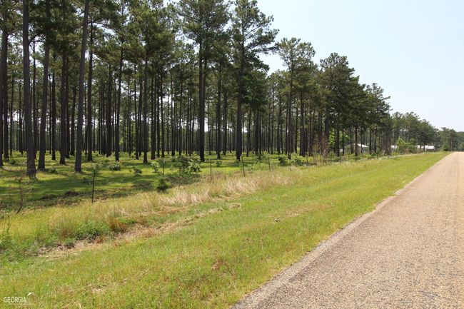 507 Js Mcleod Jr Way, House other with 6 bedrooms, 4 bathrooms and null parking in Blakely GA | Image 84