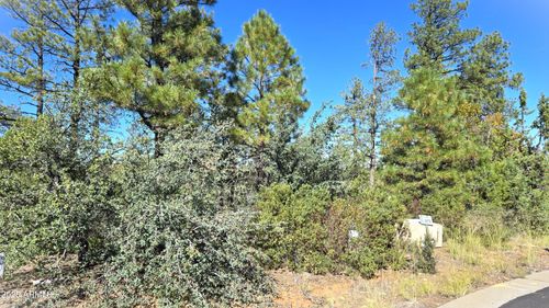 375-440 E Stoneridge Cir, Show Low, AZ, 85901 | Card Image