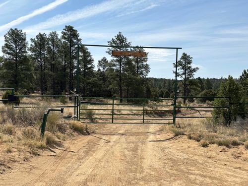 994 Wild Horse Ranch Rd, Pie Town, NM, 87827-9022 | Card Image