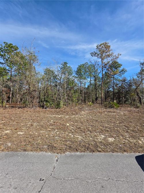 TBD Sw 87th Ave, OCALA, FL, 34481 | Card Image