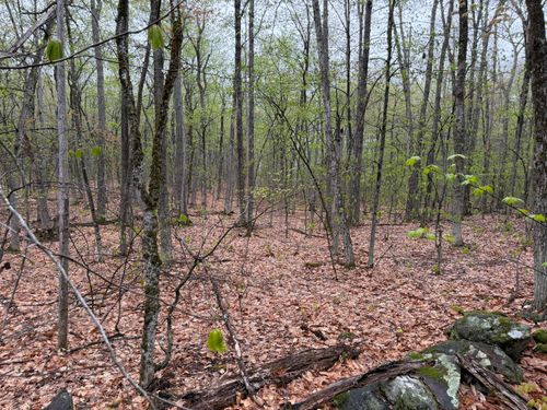 M 209 L 9 Abbott Road, Acton, ME, 04001 | Card Image