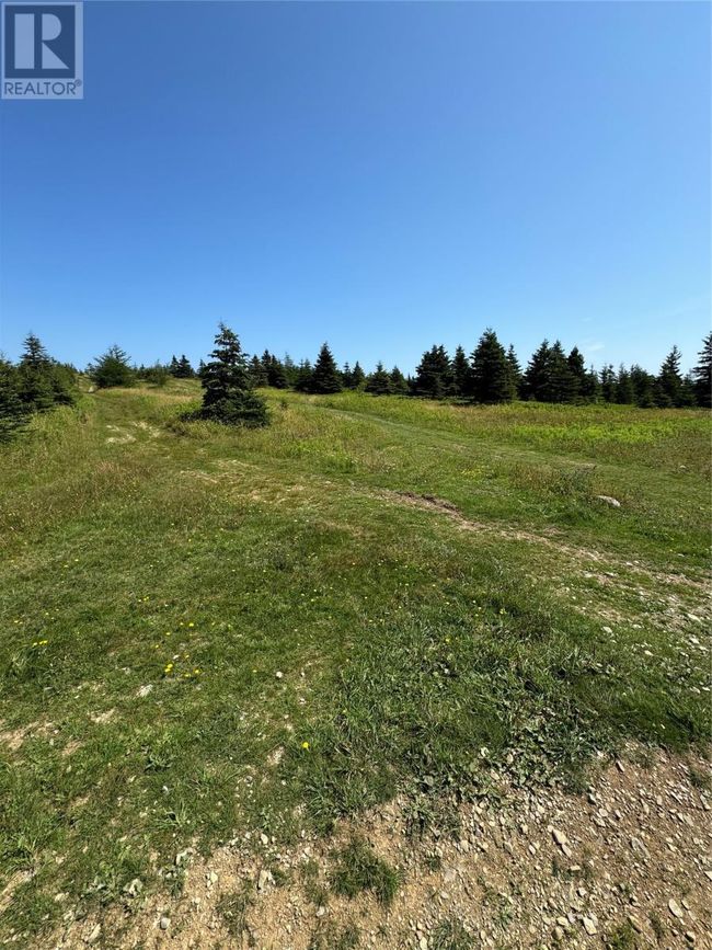 0 Seymours Road, Home with 0 bedrooms, 0 bathrooms and null parking in Spaniards Bay NL | Image 5