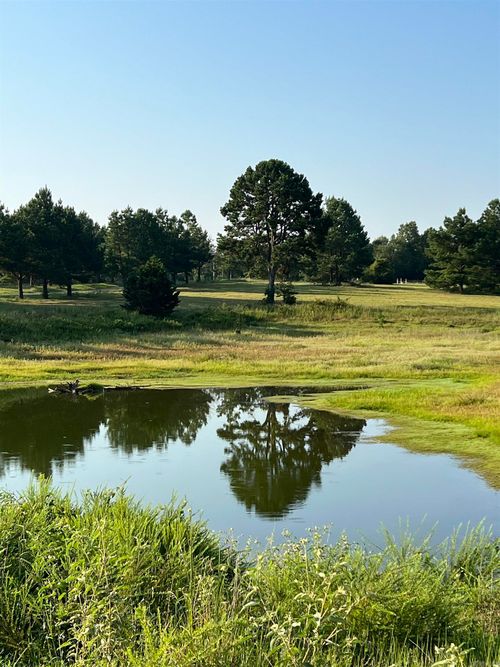 203 Spring Rd, Searcy, AR, 72143-9501 | Card Image